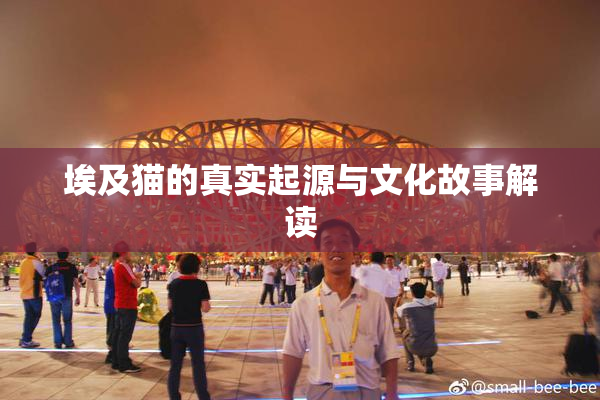 埃及猫的真实起源与文化故事解读
