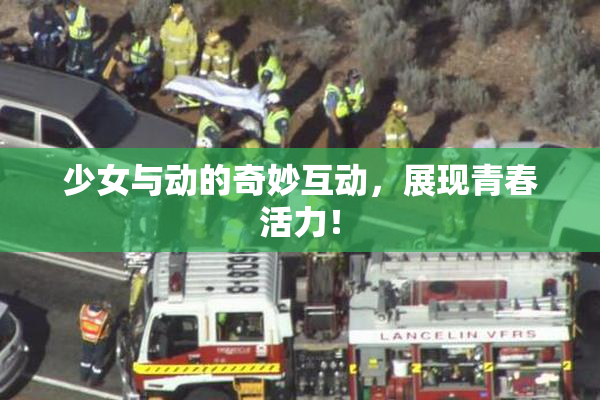 少女与动的奇妙互动，展现青春活力！