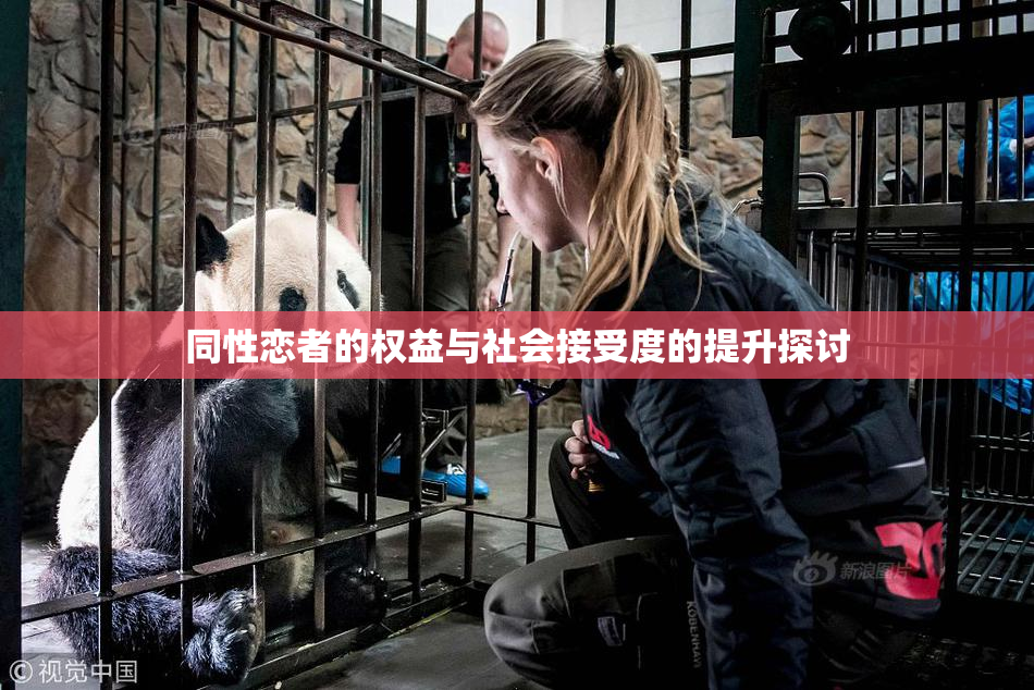 同性恋者的权益与社会接受度的提升探讨