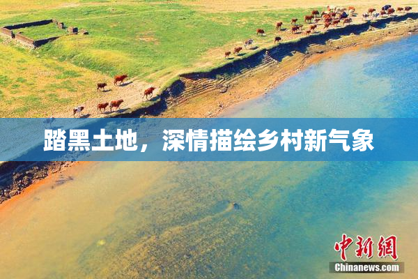 踏黑土地，深情描绘乡村新气象