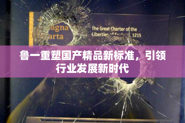 鲁一重塑国产精品新标准，引领行业发展新时代