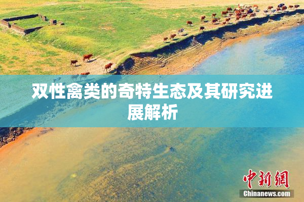 双性禽类的奇特生态及其研究进展解析