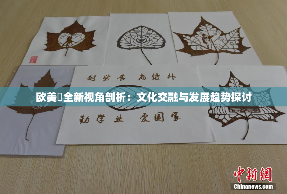 欧美巜全新视角剖析：文化交融与发展趋势探讨