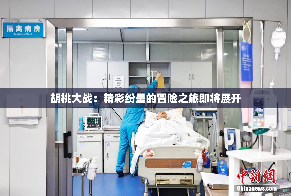 胡桃大战：精彩纷呈的冒险之旅即将展开