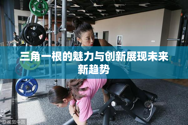 三角一根的魅力与创新展现未来新趋势