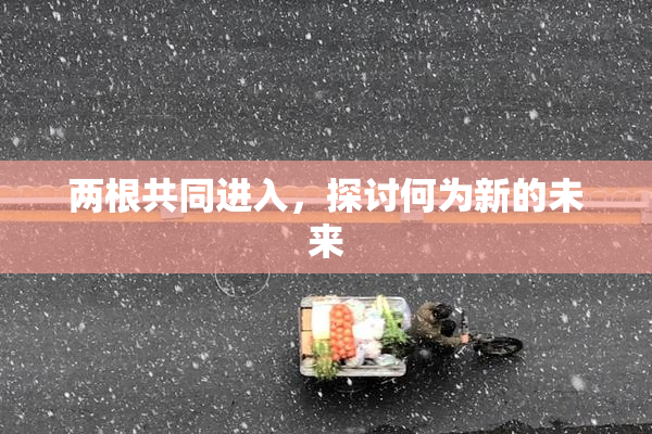 两根共同进入，探讨何为新的未来