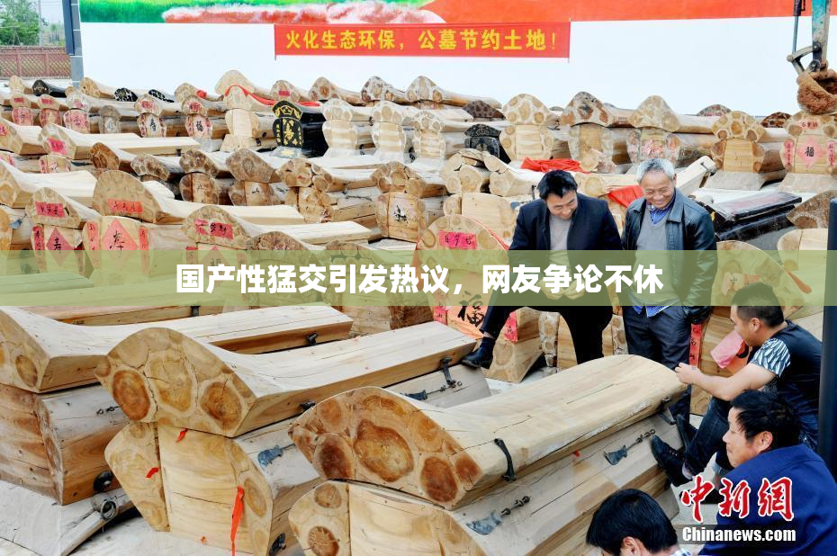 国产性猛交引发热议，网友争论不休