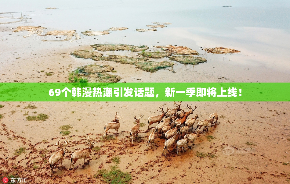 69个韩漫热潮引发话题，新一季即将上线！