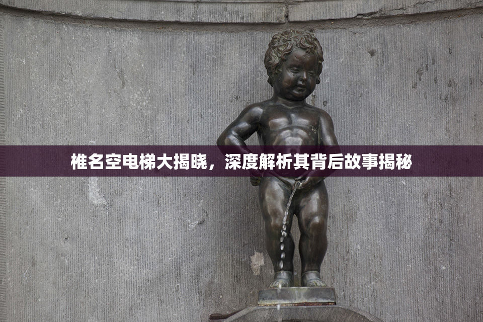 椎名空电梯大揭晓，深度解析其背后故事揭秘