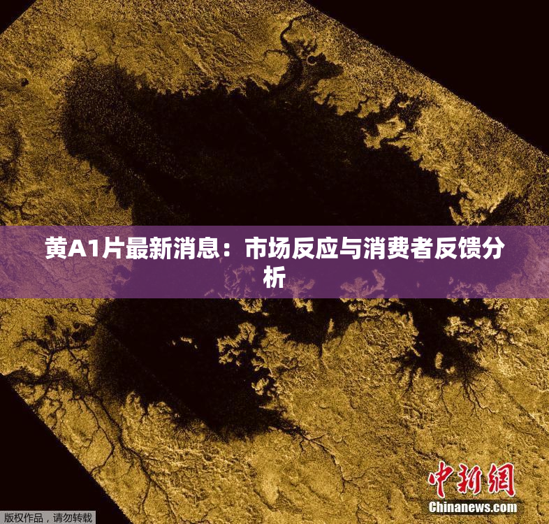 黄A1片最新消息：市场反应与消费者反馈分析