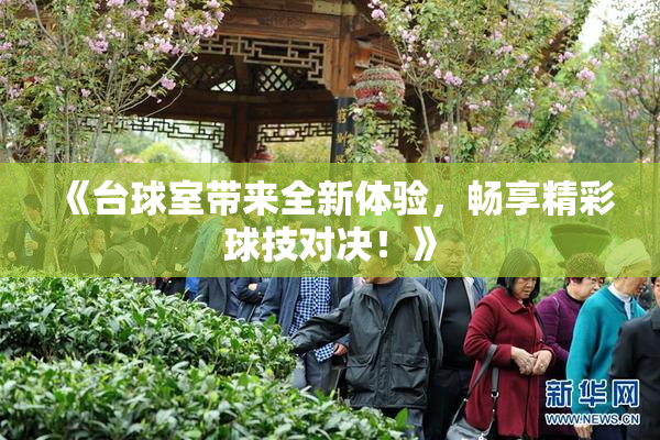 《台球室带来全新体验，畅享精彩球技对决！》