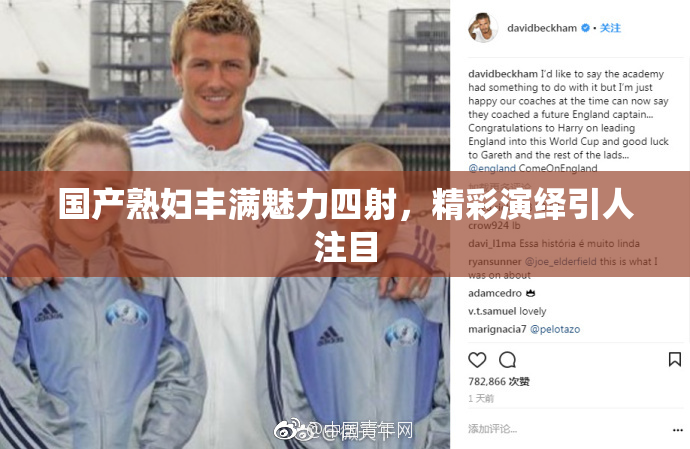 国产熟妇丰满魅力四射，精彩演绎引人注目