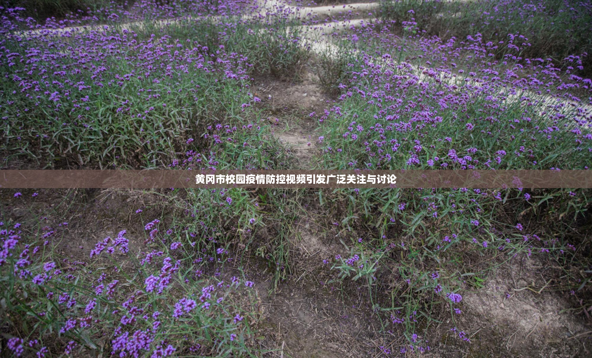 黄冈市校园疫情防控视频引发广泛关注与讨论