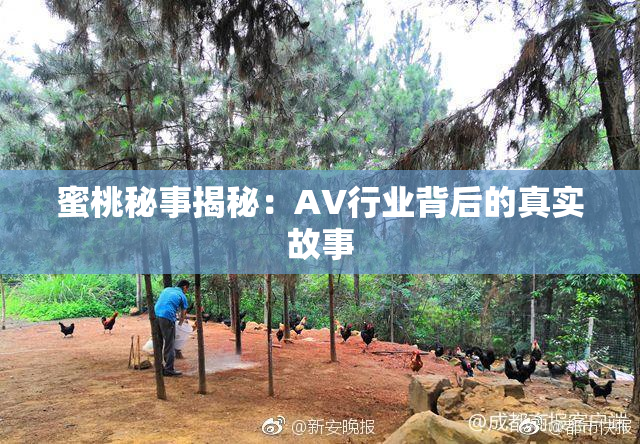 蜜桃秘事揭秘：AV行业背后的真实故事