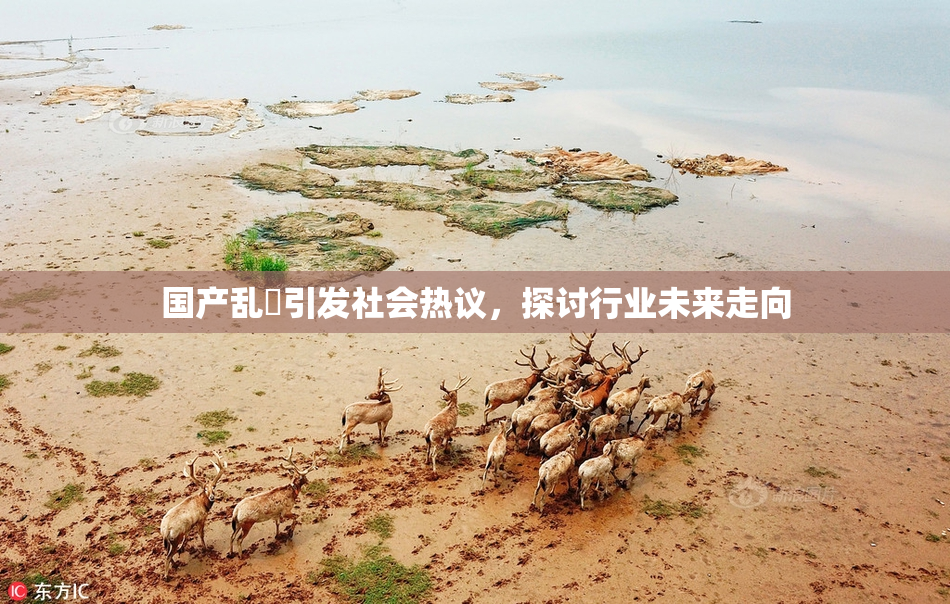 国产乱婬引发社会热议，探讨行业未来走向