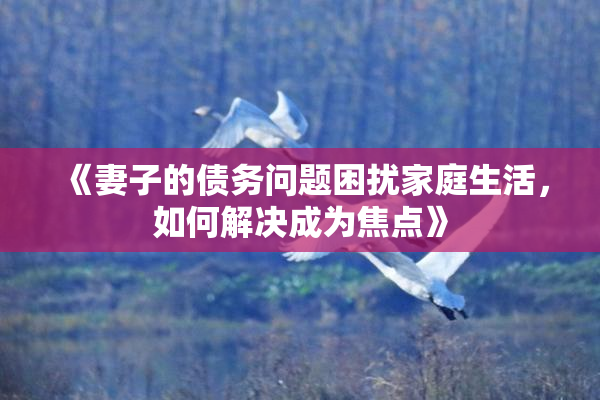 《妻子的债务问题困扰家庭生活，如何解决成为焦点》