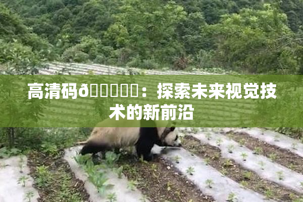高清码🔞❌‌：探索未来视觉技术的新前沿