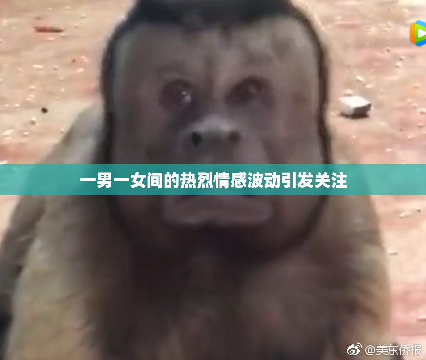 一男一女间的热烈情感波动引发关注