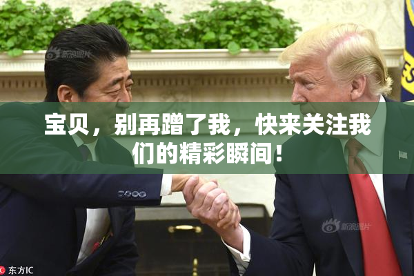 宝贝，别再蹭了我，快来关注我们的精彩瞬间！