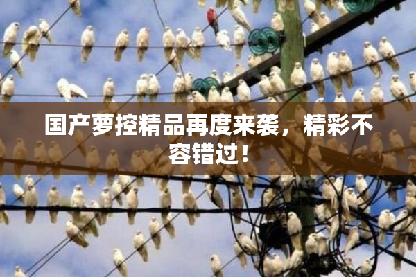 国产萝控精品再度来袭，精彩不容错过！