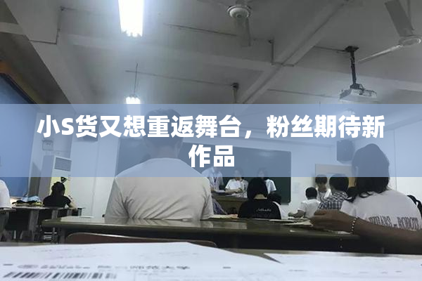 小S货又想重返舞台，粉丝期待新作品