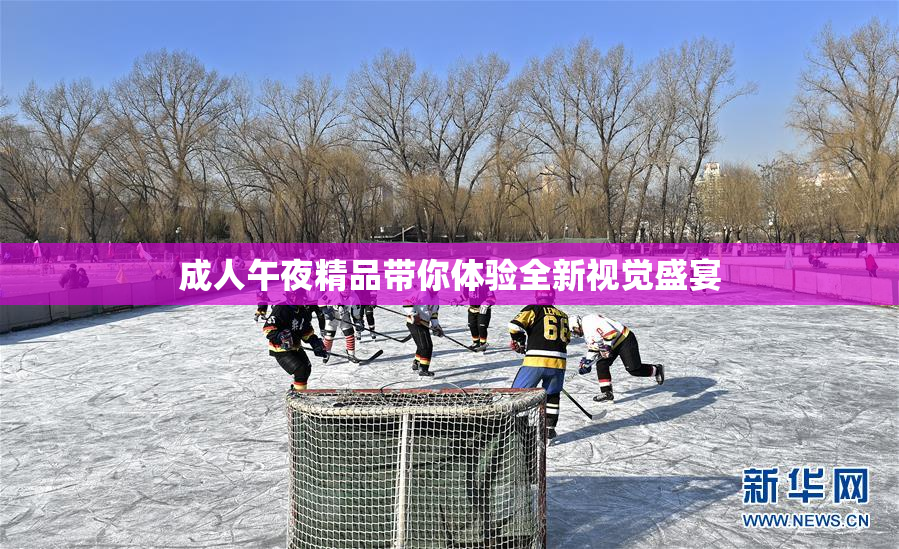 成人午夜精品带你体验全新视觉盛宴