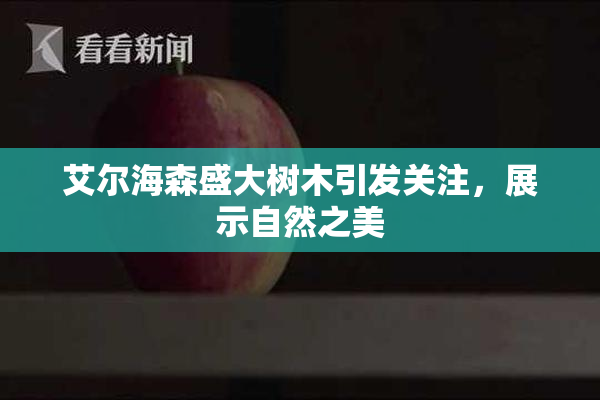艾尔海森盛大树木引发关注，展示自然之美