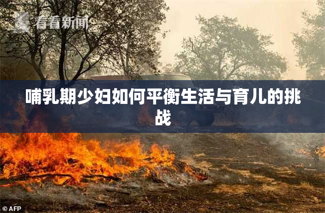 哺乳期少妇如何平衡生活与育儿的挑战