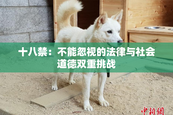十八禁：不能忽视的法律与社会道德双重挑战