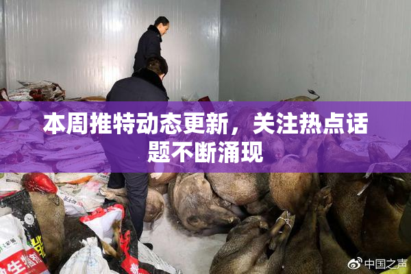 本周推特动态更新，关注热点话题不断涌现