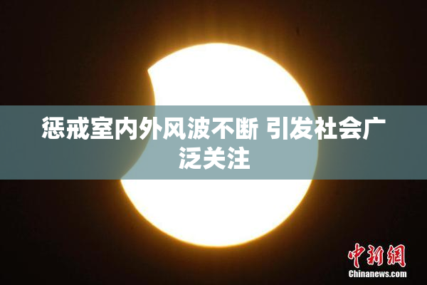 惩戒室内外风波不断 引发社会广泛关注