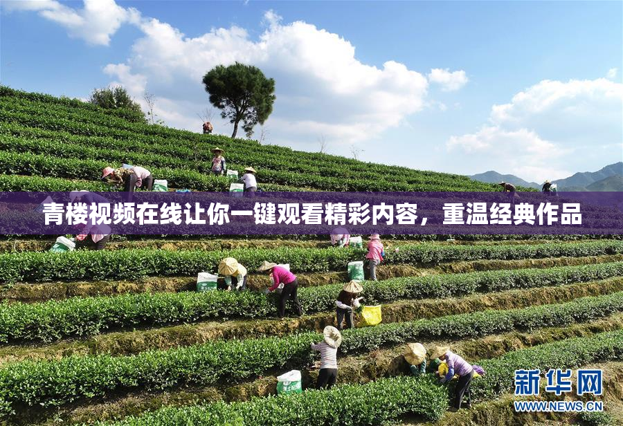 青楼视频在线让你一键观看精彩内容，重温经典作品