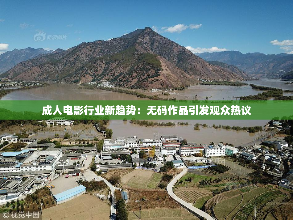 成人电影行业新趋势：无码作品引发观众热议