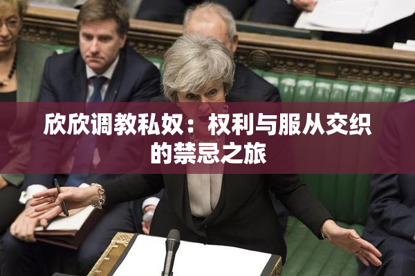 欣欣调教私奴：权利与服从交织的禁忌之旅