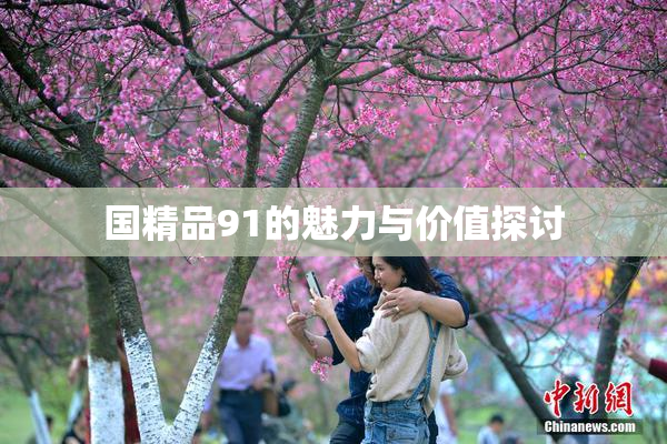 国精品91的魅力与价值探讨