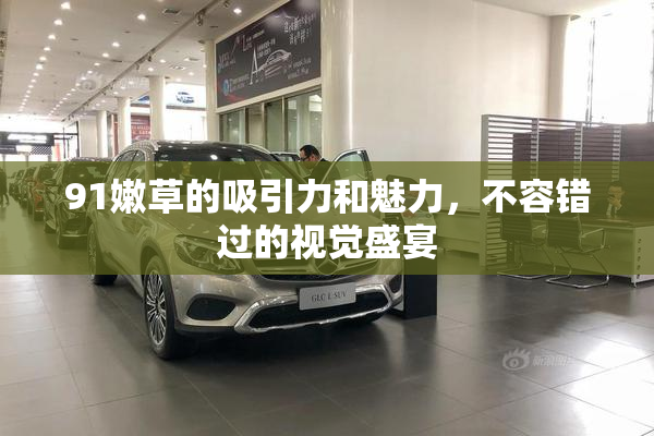 91嫩草的吸引力和魅力，不容错过的视觉盛宴