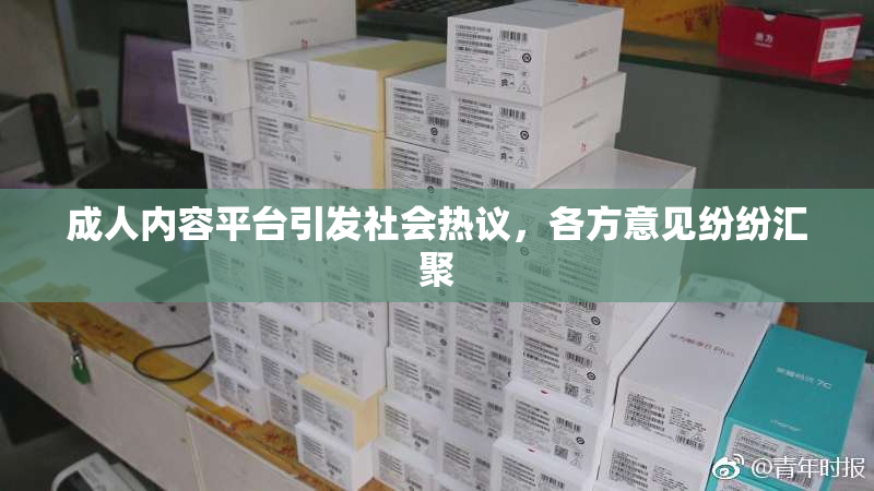 成人内容平台引发社会热议，各方意见纷纷汇聚