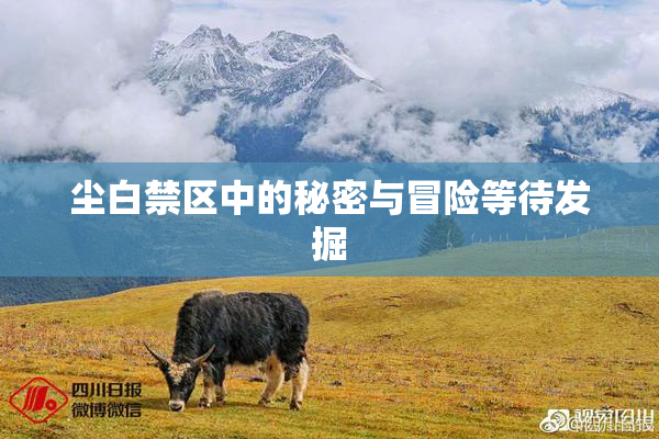 尘白禁区中的秘密与冒险等待发掘
