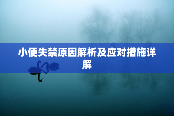 小便失禁原因解析及应对措施详解