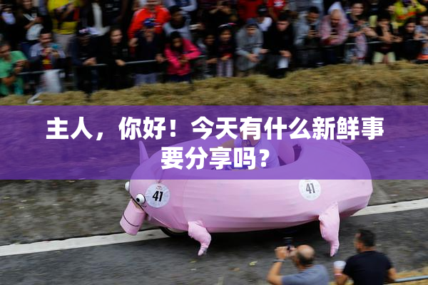 主人，你好！今天有什么新鲜事要分享吗？