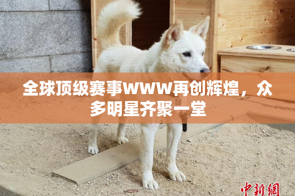 全球顶级赛事WWW再创辉煌，众多明星齐聚一堂
