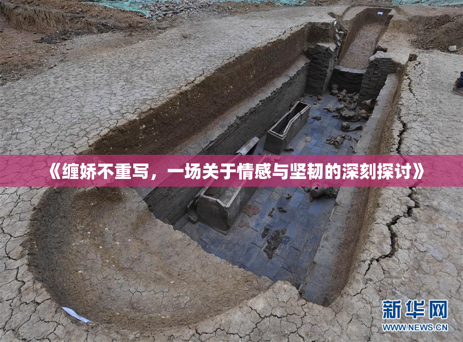 《缠娇不重写，一场关于情感与坚韧的深刻探讨》