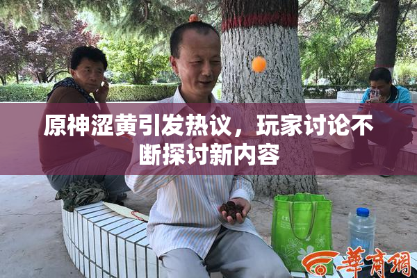 原神涩黄引发热议，玩家讨论不断探讨新内容