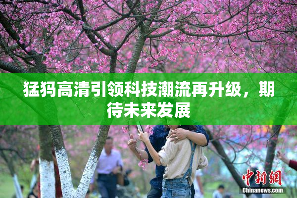 猛犸高清引领科技潮流再升级，期待未来发展