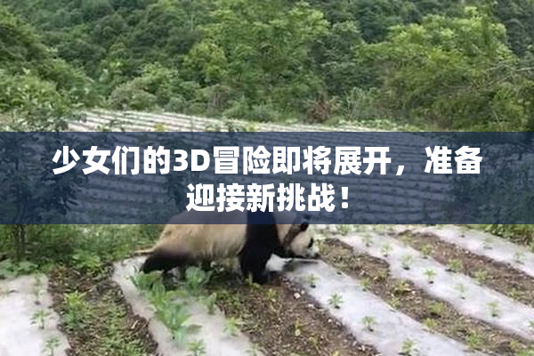 少女们的3D冒险即将展开，准备迎接新挑战！