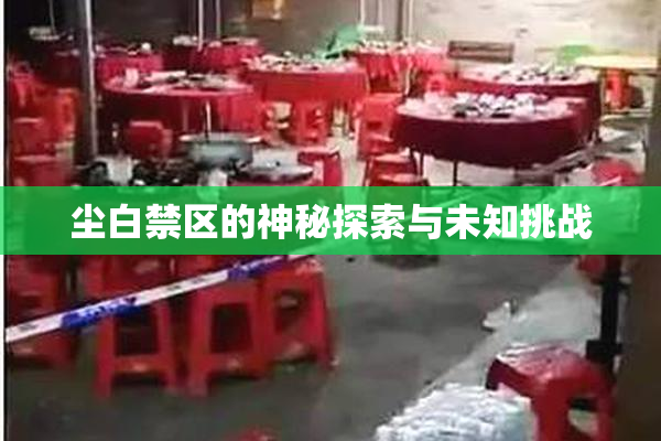 尘白禁区的神秘探索与未知挑战