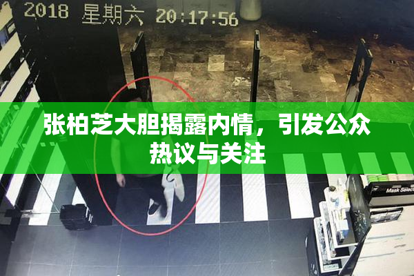 张柏芝大胆揭露内情，引发公众热议与关注