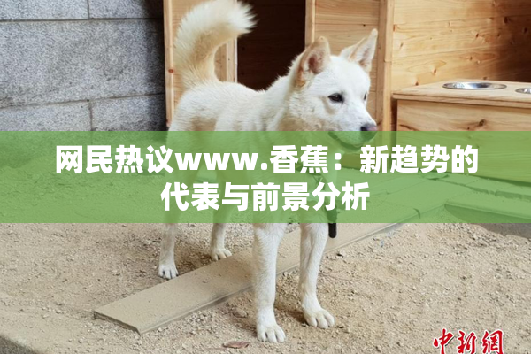 网民热议www.香蕉：新趋势的代表与前景分析