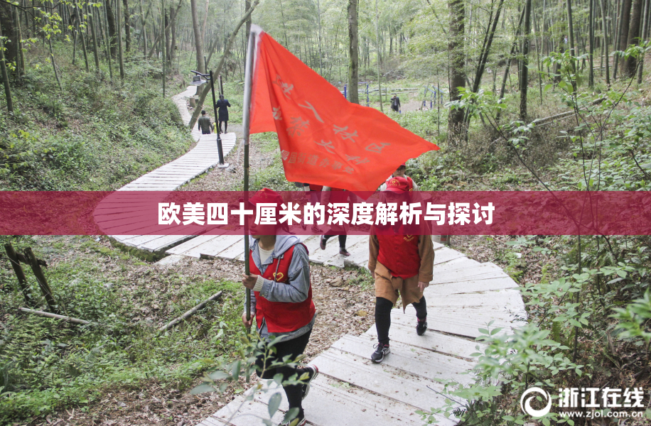 欧美四十厘米的深度解析与探讨