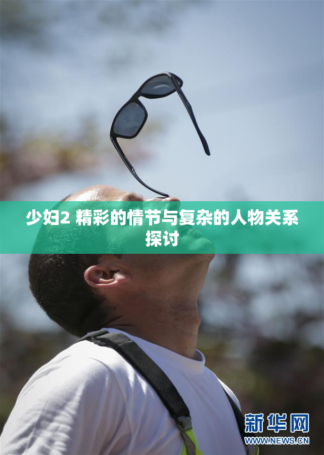 少妇2 精彩的情节与复杂的人物关系探讨
